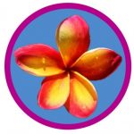 Group logo of The Everyday Peace Initiative